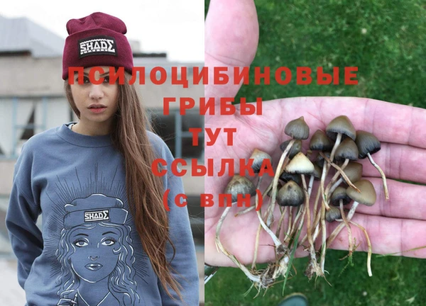 PSILOCYBIN Инта