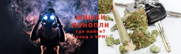 PSILOCYBIN Инта
