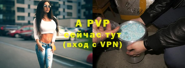 кокс Инсар